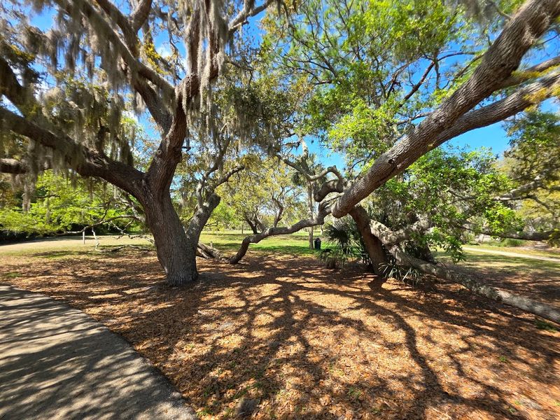 Hammock Park And Its Wildlife