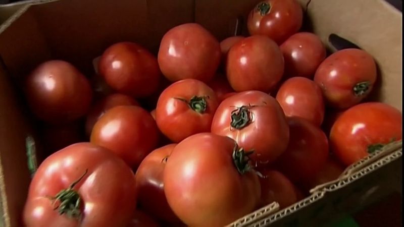 Lipman Family Farms' 2021 Greenhouse Tomato Recall