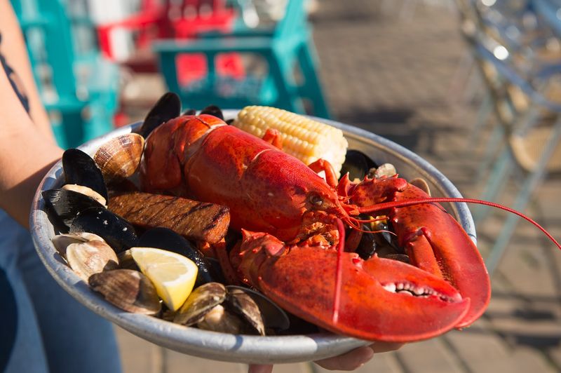 The Freshest Daily Catches Straight From The Sea The Freshest Daily Catches Straight From The Sea