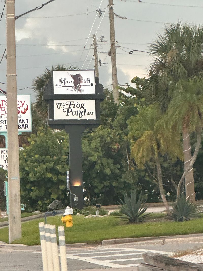 The Frog Pond SPB - St. Pete Beach