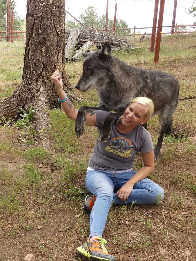 Mid-Article Hook: The Animals You Did Not Expect to Fall For