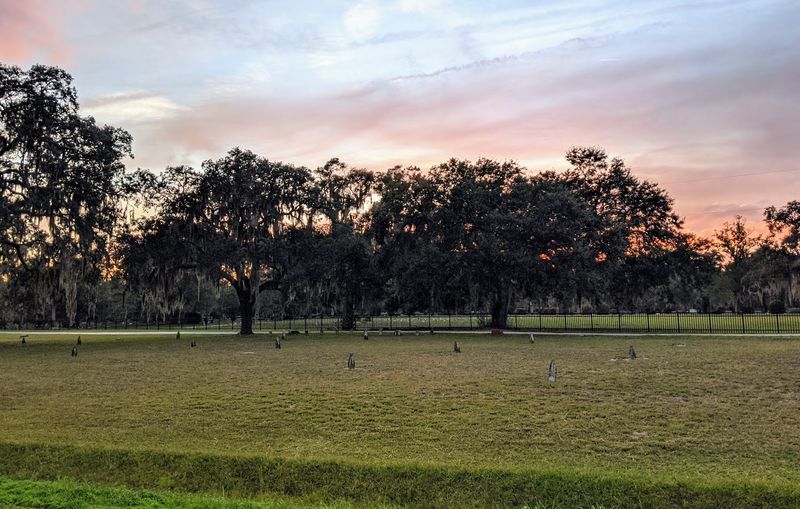 Paynes Prairie Overlooks Offer Stunning Scenic Views