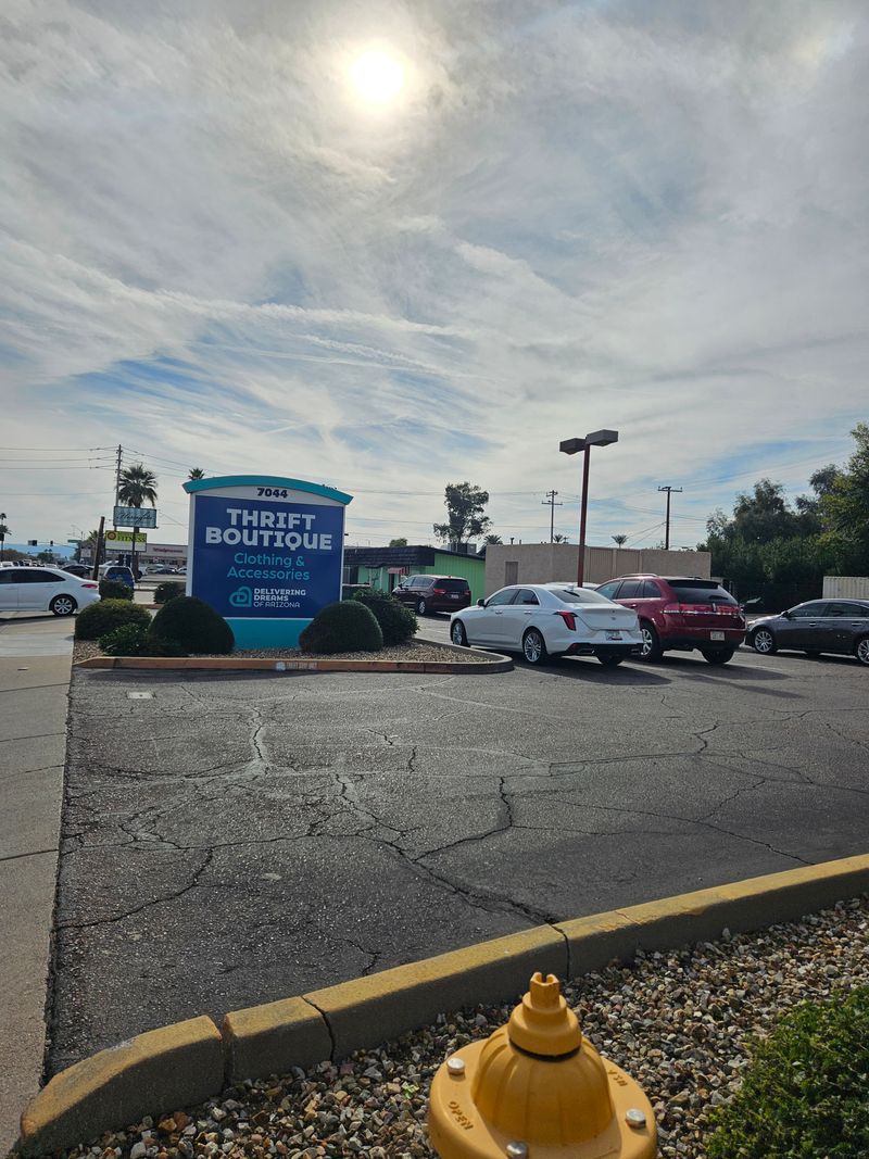 The Hidden Collectibles Corner Regulars Guard Jealously