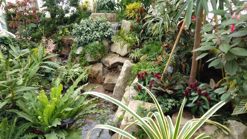 The Gaiser Conservatory's Tropical Dome The Gaiser Conservatory's Tropical Dome