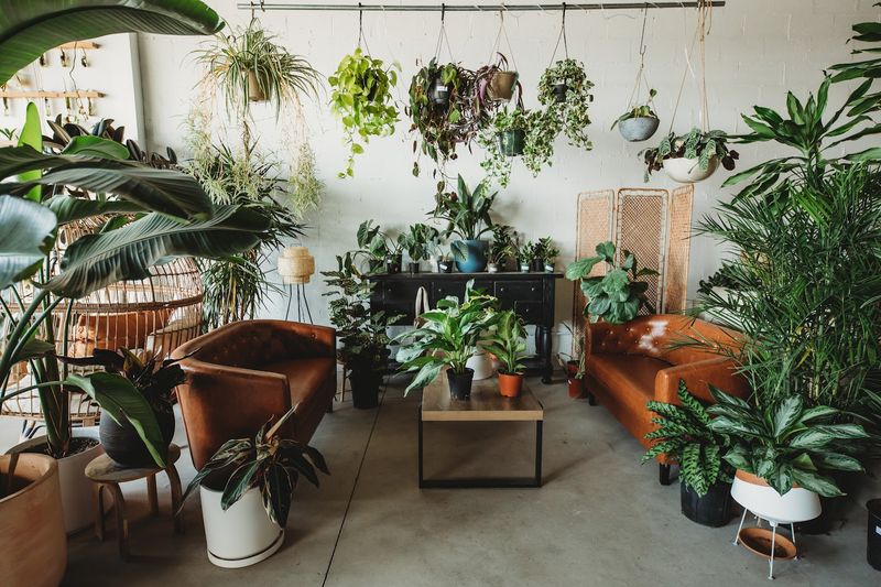 Seasonal Blooms Turn Every Visit Into A New Experience