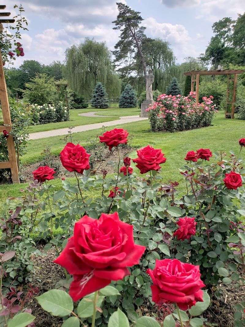 The Garden Has A Rich History And A Meaningful Name The Garden Has A Rich History And A Meaningful Name
