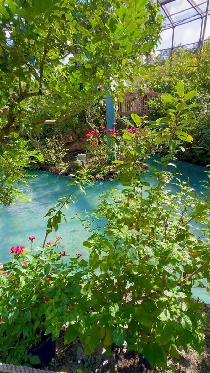 The Garden Has Been Open Since 1988