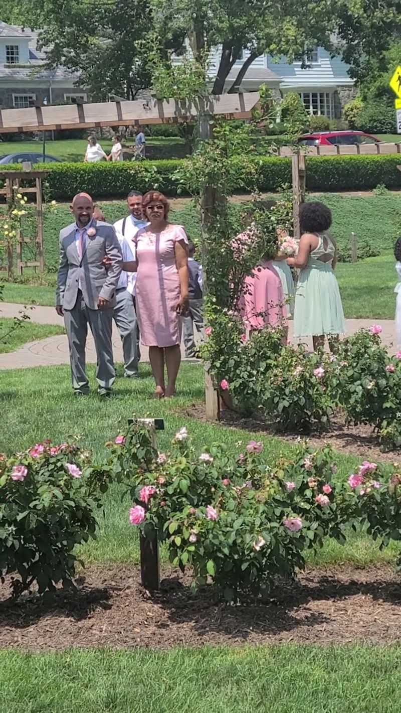 The Garden Hosts Weddings And Special Ceremonies The Garden Hosts Weddings And Special Ceremonies