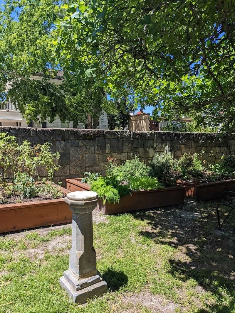 The Garden That Fed Guests