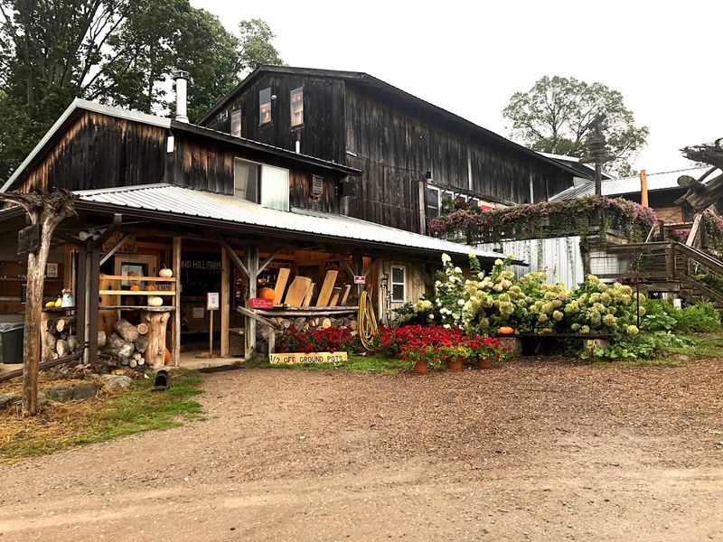 A Must-Visit Michigan Farm Experience