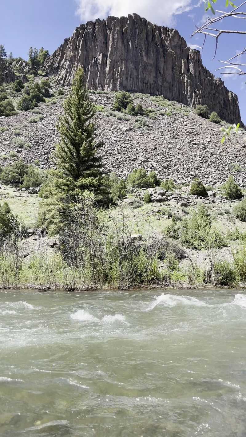 The Gate Campground - North of Lake City