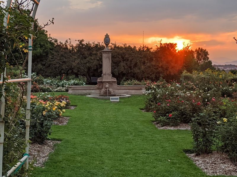 Why This Garden Works for Every Kind of Visitor