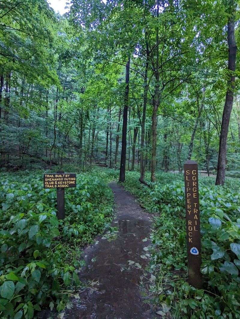 Wildlife Encounters Along Slippery Rock Creek