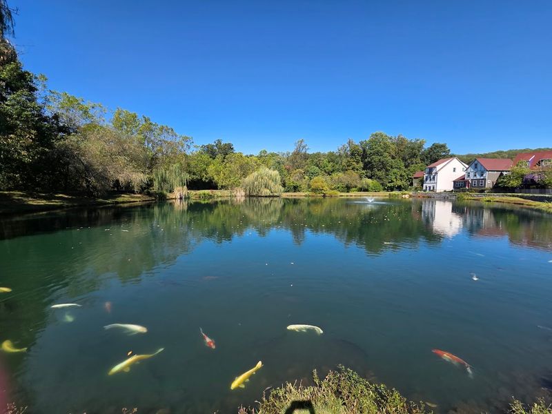 The Koi Pond Walk That Adds A Surprise Around the Corner