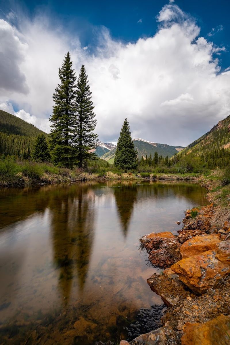 Wildlife, Rivers, and the Unexpected Color of the Water