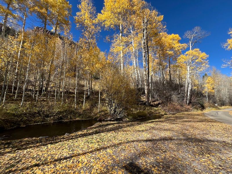 Castle Creek Road: The Drive Is Half the Adventure