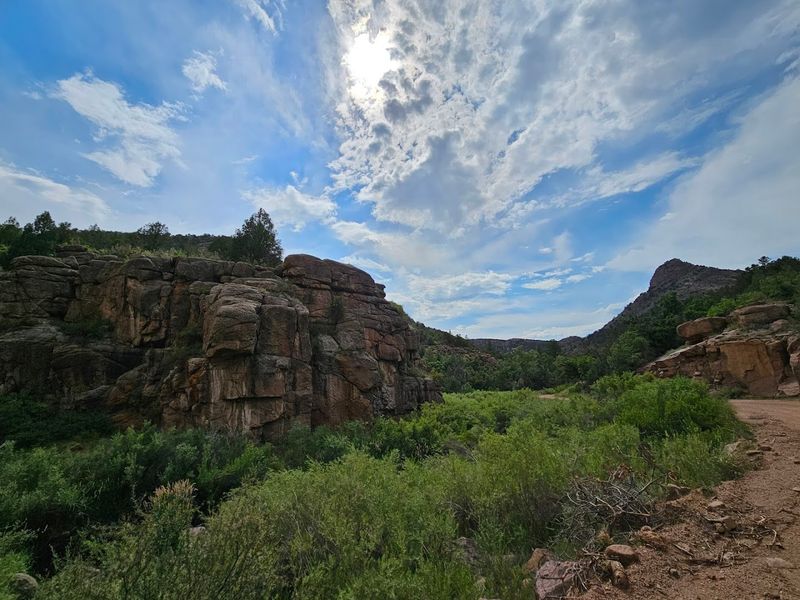 What The Drive Actually Looks And Feels Like