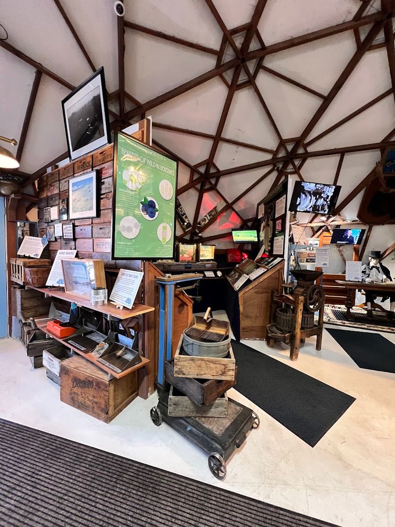 A Blueberry Museum Inside The Dome