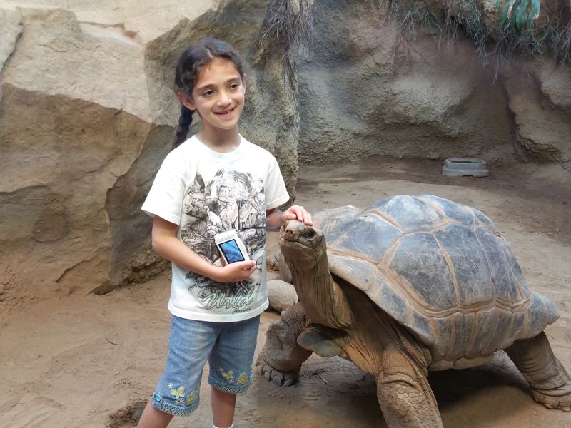 The Giant Tortoise Feeding Experience The Giant Tortoise Feeding Experience