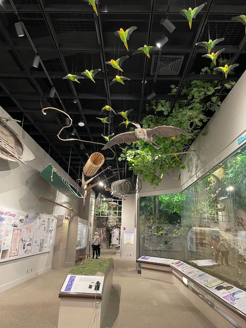 Friendly And Knowledgeable Staff 