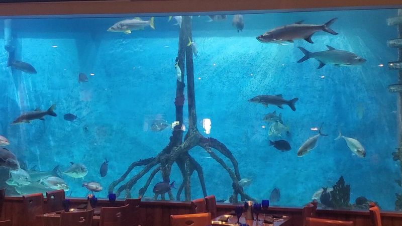 Price Range, Value, And Hours