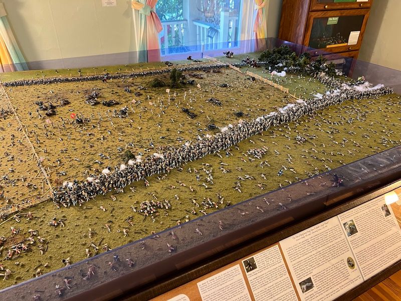 The Museum Earns a Near-Perfect 4.9 Stars Across 195 Reviews