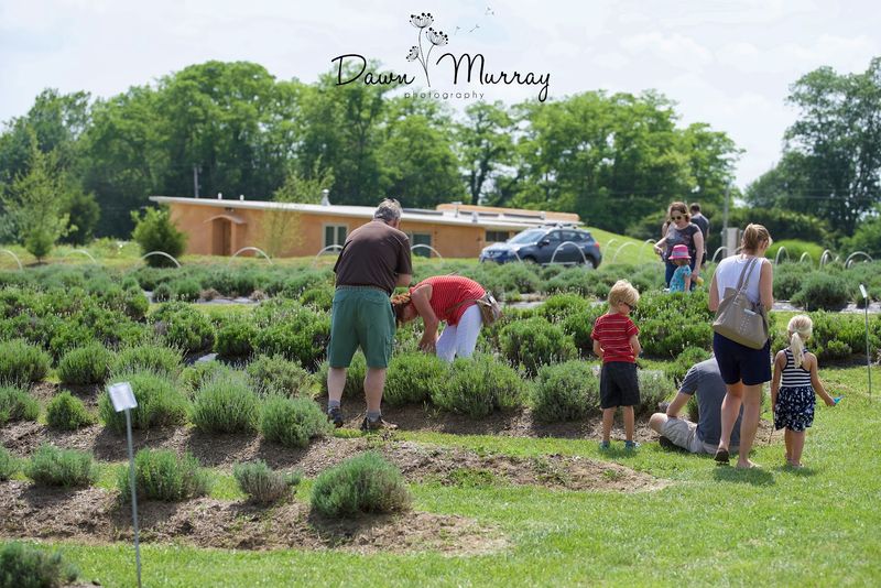 The U-Pick Experience Worth Every Second