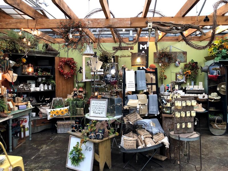 Plant Care Essentials That Actually Help Your Green Things Survive