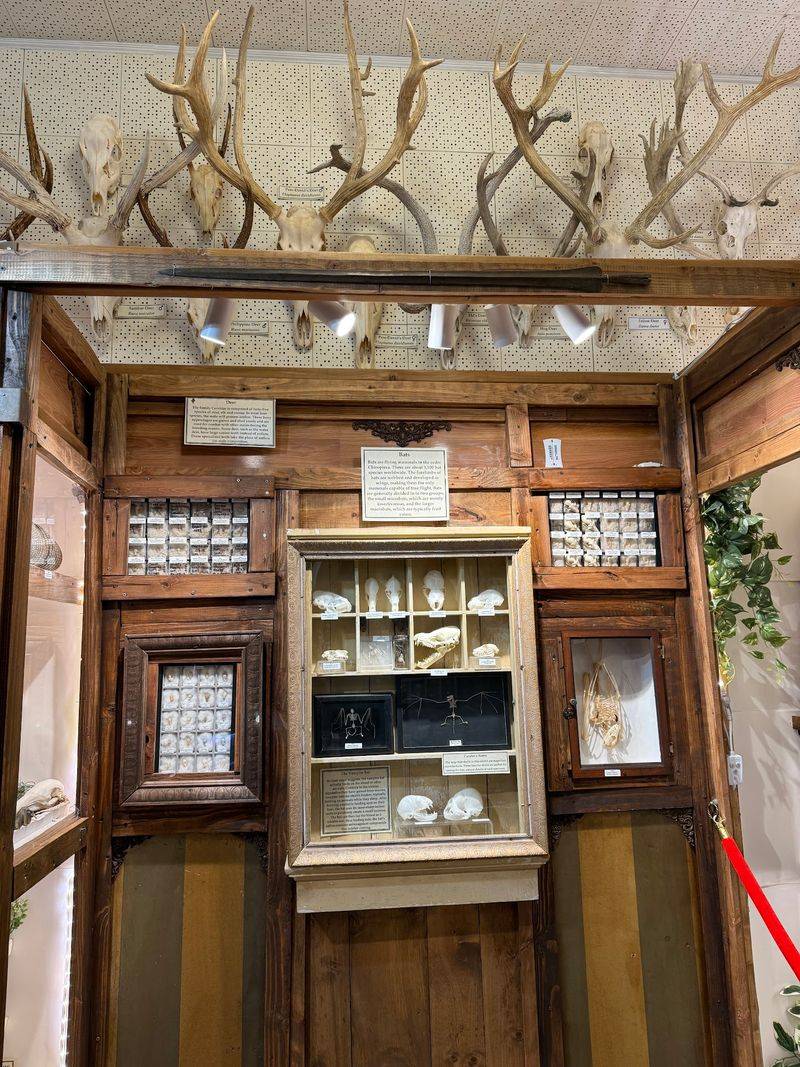 The Gift Shop You Walk Through First The Gift Shop You Walk Through First