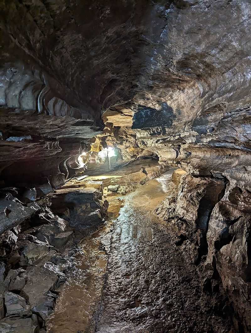The Glacial Forces That Shaped Everything You See