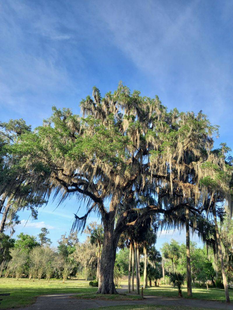 Yes, There Are Wild Monkeys