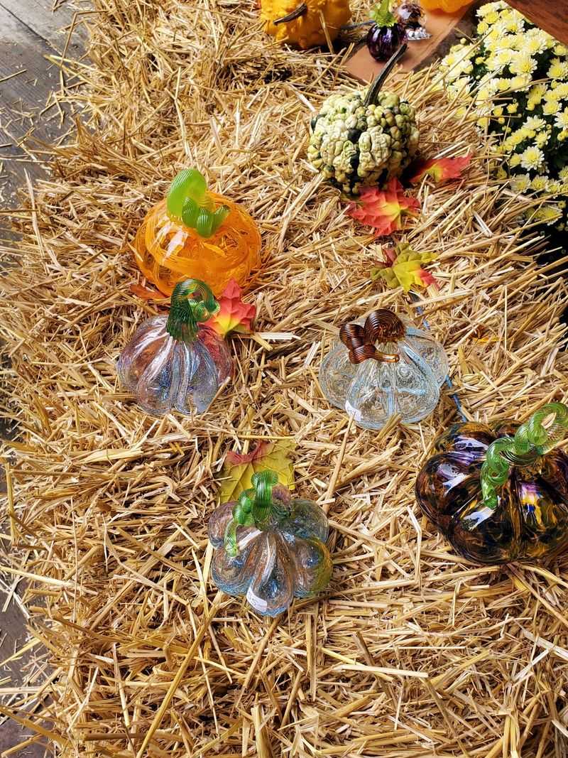 The Glass Pumpkin Patch Takes Over
