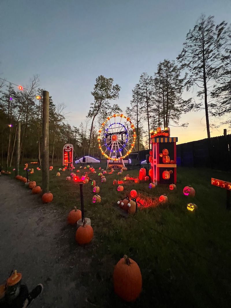 The Glowing Pumpkin Trail Turns Night Into The Main Event The Glowing Pumpkin Trail Turns Night Into The Main Event