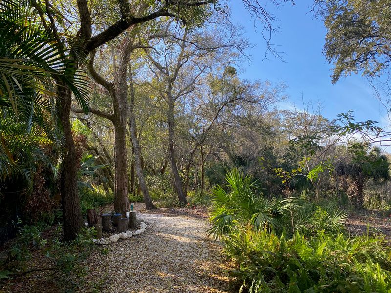 Shady Trails And Whispering Oaks