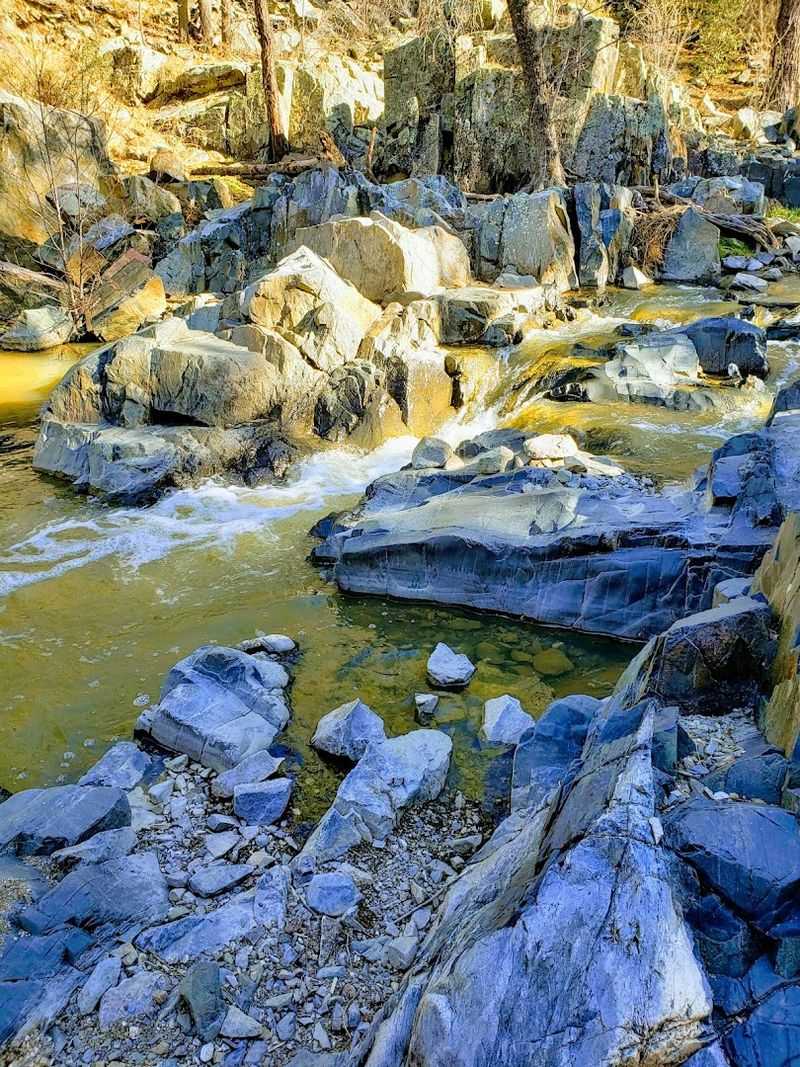 The Gold Rush History Behind Lynx Creek