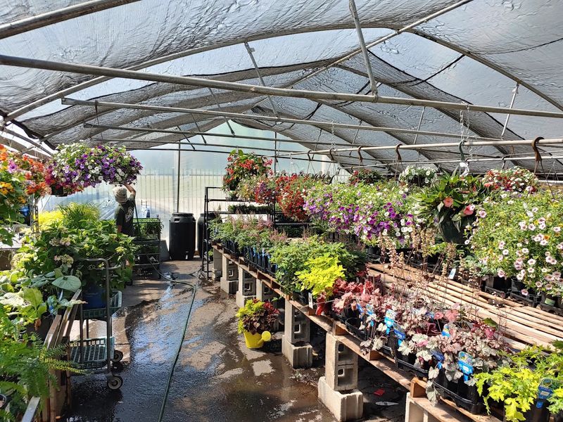 The Good Earth Greenhouse, River Forest The Good Earth Greenhouse, River Forest