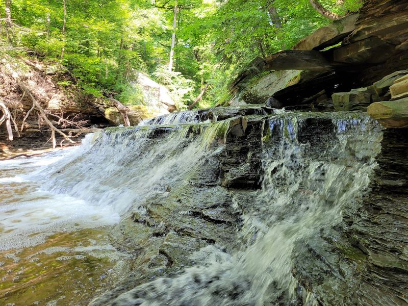 The Gorge And Its Geology