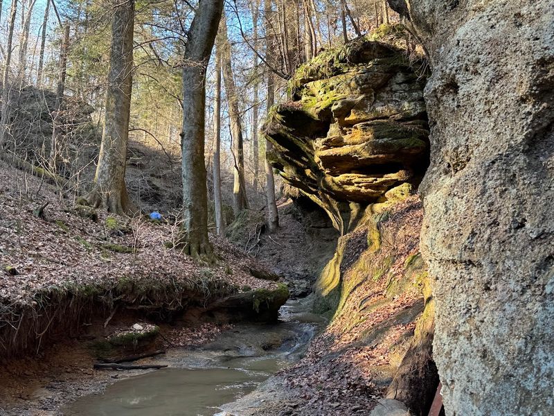 The Gorge Trail That Earns Its Views