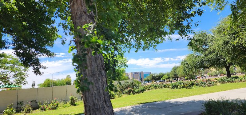 A Living Canvas Of Thousands