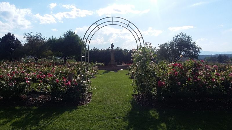 A Hidden Gem With Deep Roots in Littleton