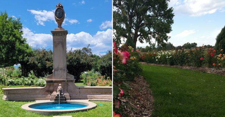 The Gorgeous Rose Garden In Colorado That Most People Don’t Know About