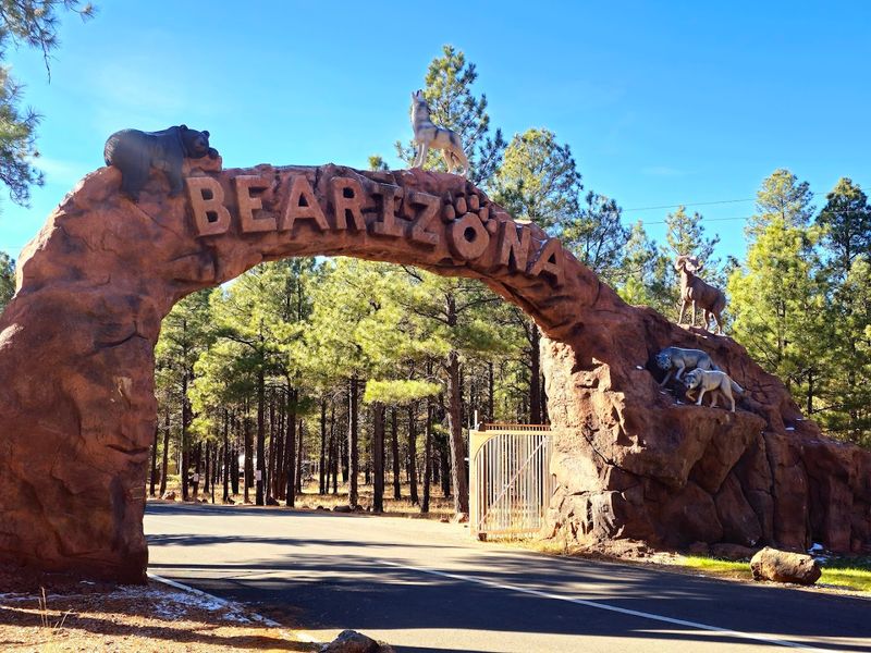 Bearizona Wildlife Park