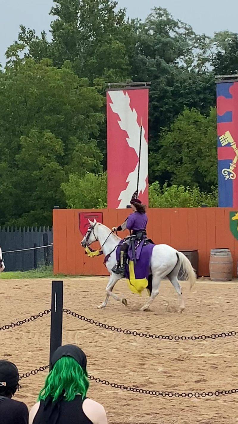 The Grand Jousting Tournament