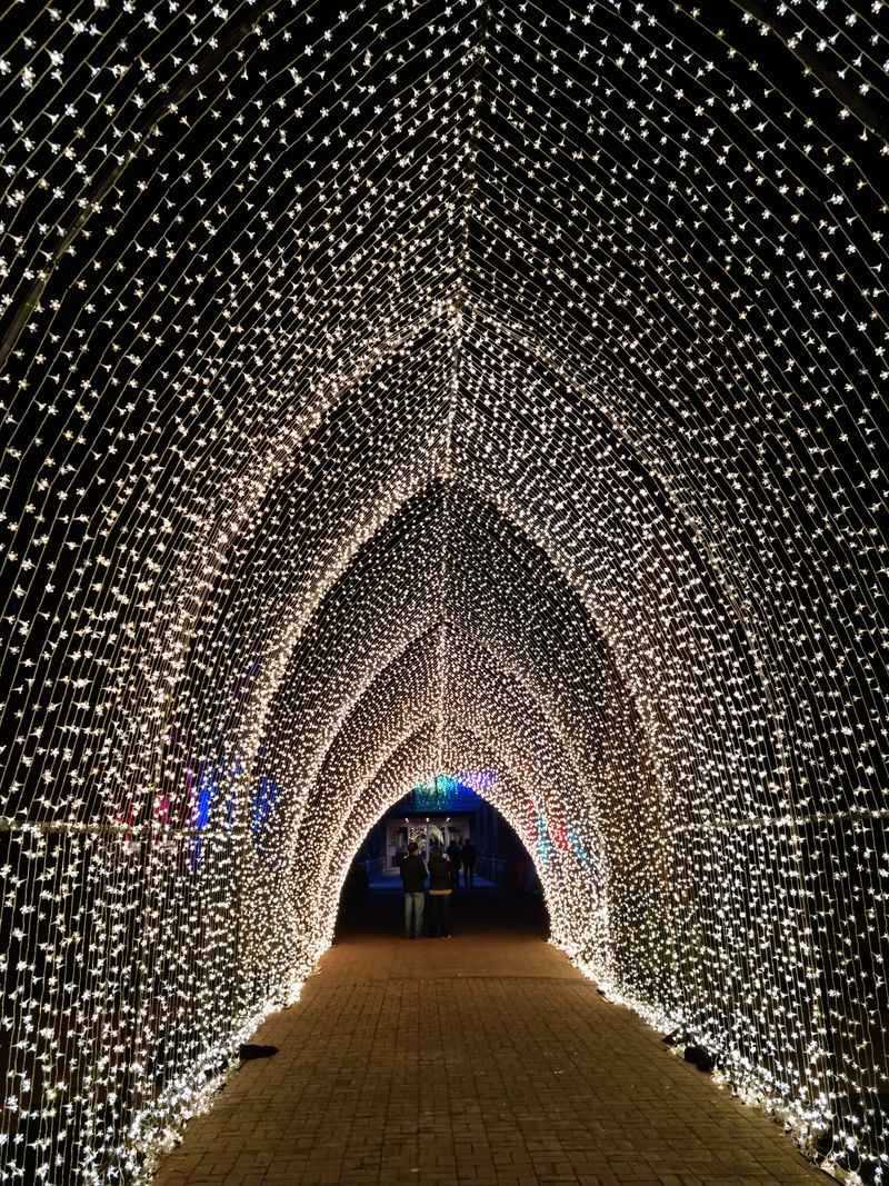 Seasonal Spectacle: Lightscape And Night Of 1000 Jack O Lanterns