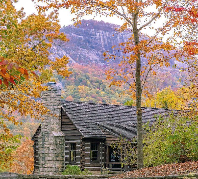 A Park With Deep Roots And Lasting Magic