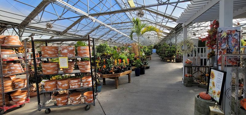 The Great Big Greenhouse & Nursery The Great Big Greenhouse & Nursery