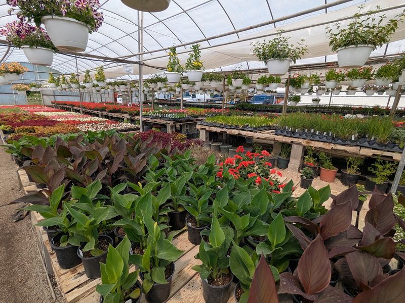 The Greenhouse And Gift Shop