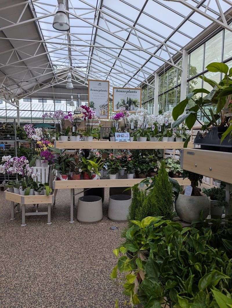 The Greenhouse Atmosphere Is Its Own Reward