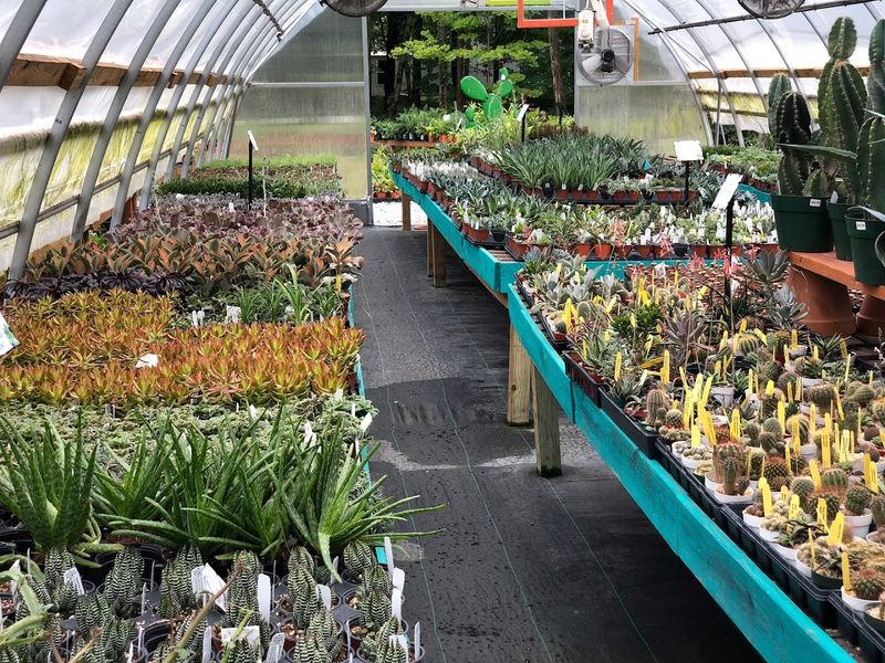 The Plant Selection That Sets This Place Apart