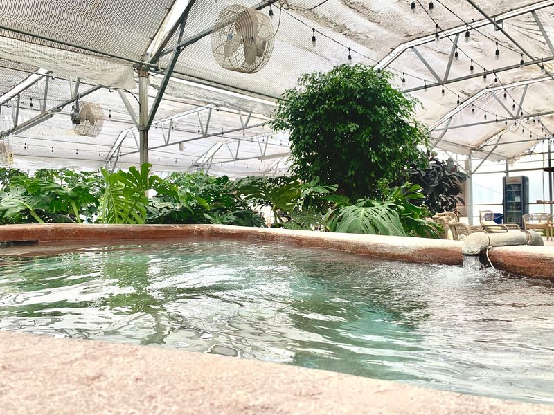 The Greenhouse Keeps Its Age Limit Simple